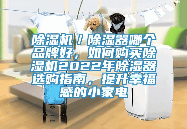 除濕機／除濕器哪個品牌好，如何購買除濕機2022年除濕器選購指南，提升幸福感的小家電